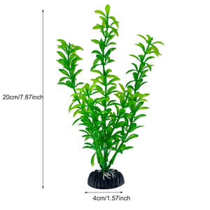 Everyday.Discount buy aquarium's plants pinterest underwater world aquatic lives tiktok youtube videos atlantis lively aquatic algae foreground fishtanks decorations underwater  glowing plants instagram world d'aquarium fishtanks panoramic dispaying optical plants explore onlineshopping instagram friends stunning funny fishtank vs aquatic alive world 