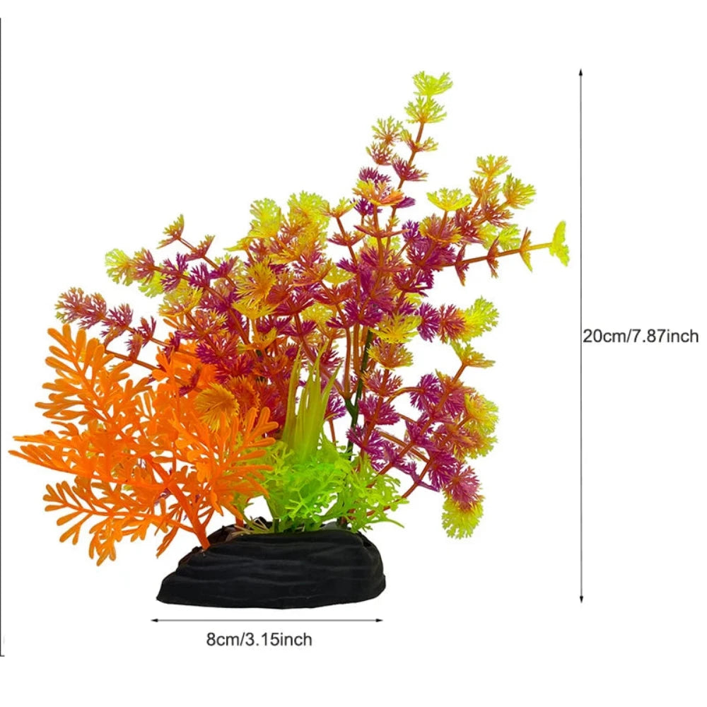 Everyday.Discount buy aquarium's plants pinterest underwater world aquatic lives tiktok youtube videos atlantis lively aquatic algae foreground fishtanks decorations underwater  glowing plants instagram world d'aquarium fishtanks panoramic dispaying optical plants explore onlineshopping instagram friends stunning funny fishtank vs aquatic alive world 