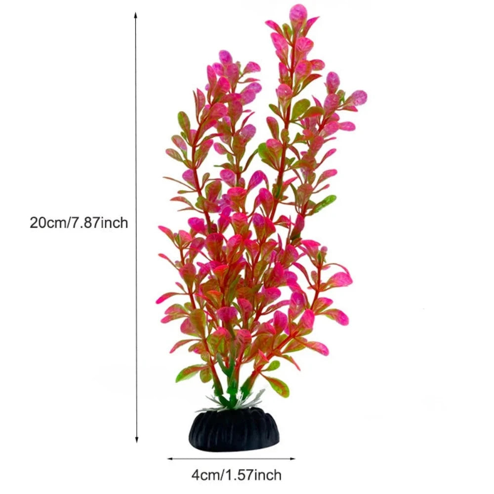 Everyday.Discount buy aquarium's plants pinterest underwater world aquatic lives tiktok youtube videos atlantis lively aquatic algae foreground fishtanks decorations underwater  glowing plants instagram world d'aquarium fishtanks panoramic dispaying optical plants explore onlineshopping instagram friends stunning funny fishtank vs aquatic alive world 