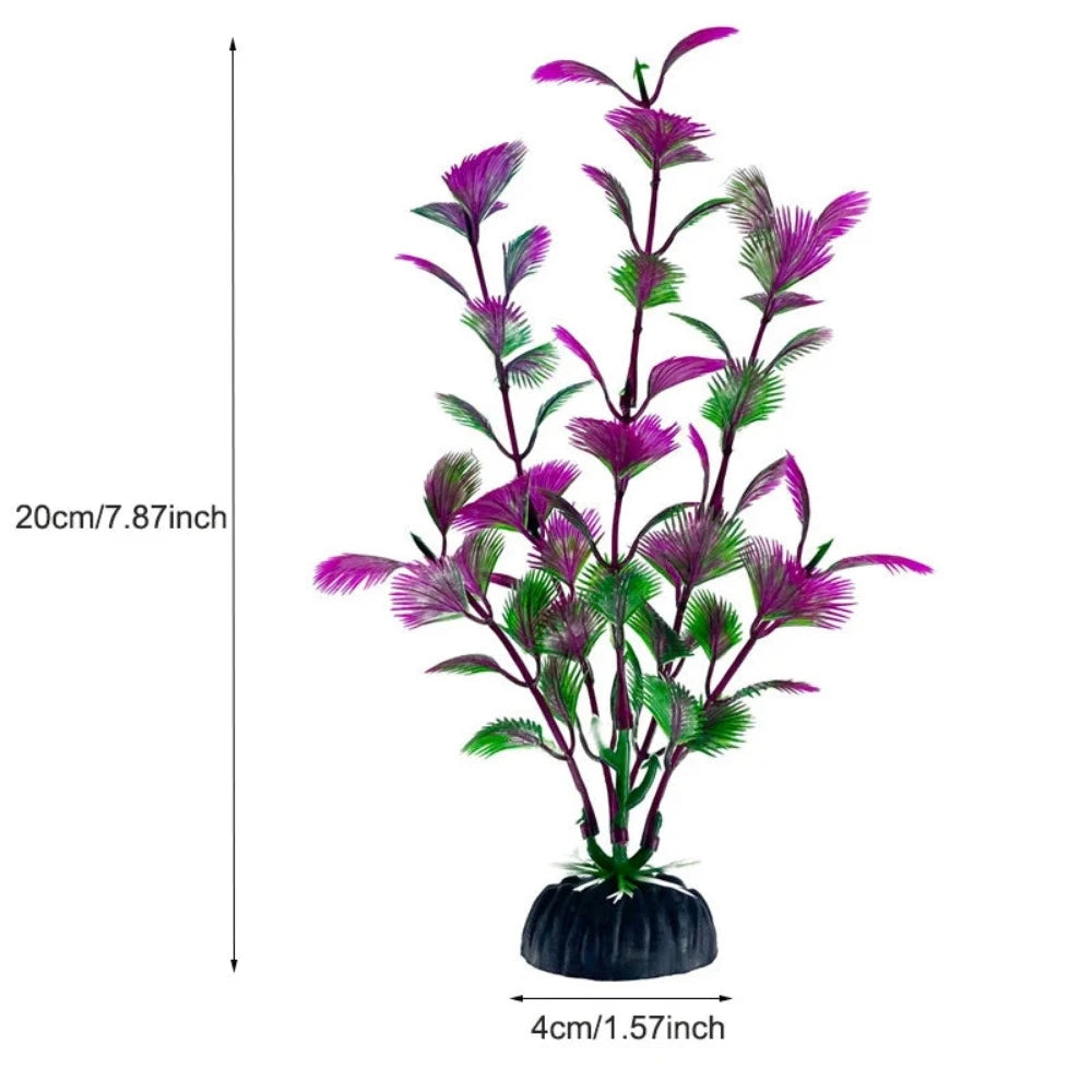 Everyday.Discount buy aquarium's plants pinterest underwater world aquatic lives tiktok youtube videos atlantis lively aquatic algae foreground fishtanks decorations underwater  glowing plants instagram world d'aquarium fishtanks panoramic dispaying optical plants explore onlineshopping instagram friends stunning funny fishtank vs aquatic alive world 
