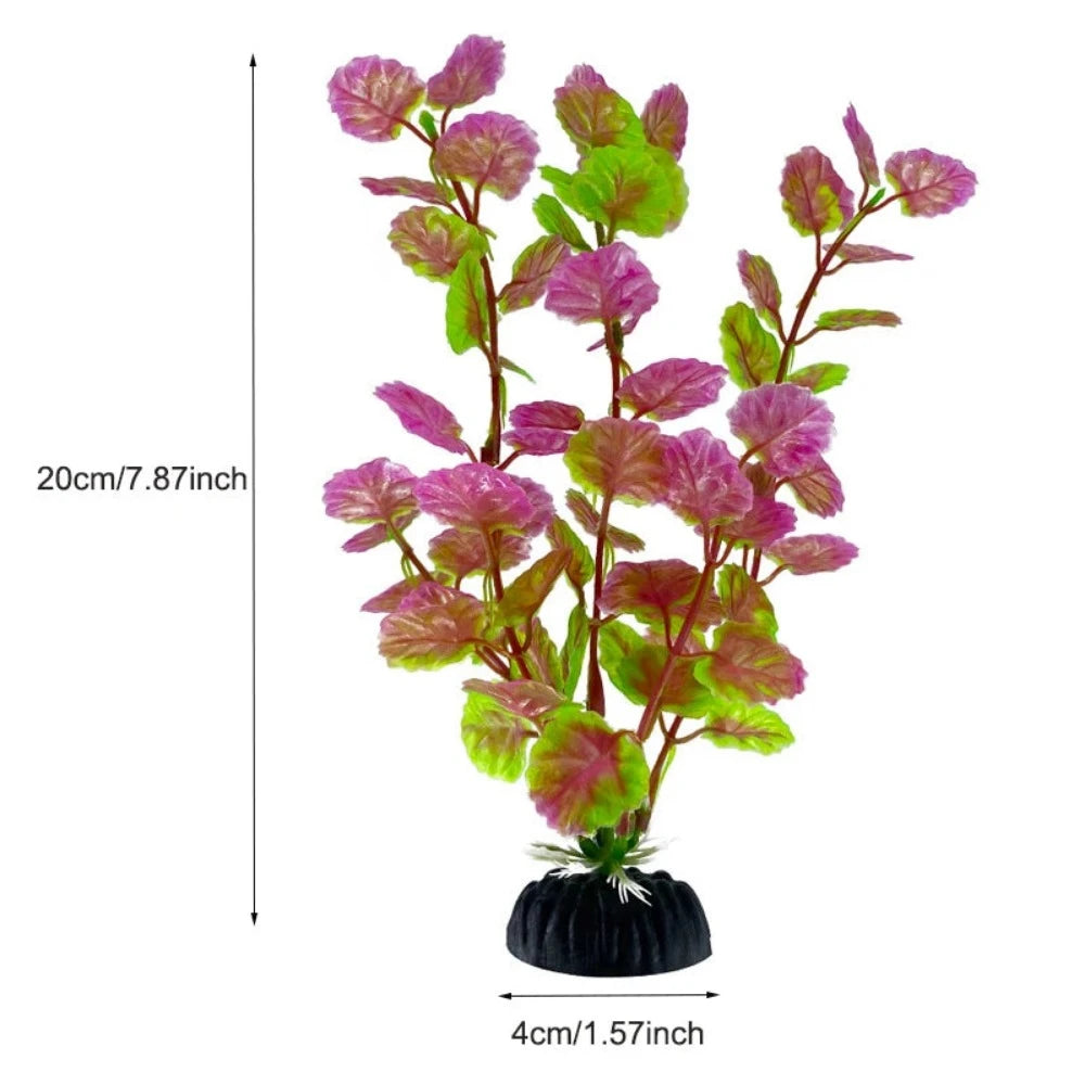 Everyday.Discount buy aquarium's plants pinterest underwater world aquatic lives tiktok youtube videos atlantis lively aquatic algae foreground fishtanks decorations underwater  glowing plants instagram world d'aquarium fishtanks panoramic dispaying optical plants explore onlineshopping instagram friends stunning funny fishtank vs aquatic alive world 