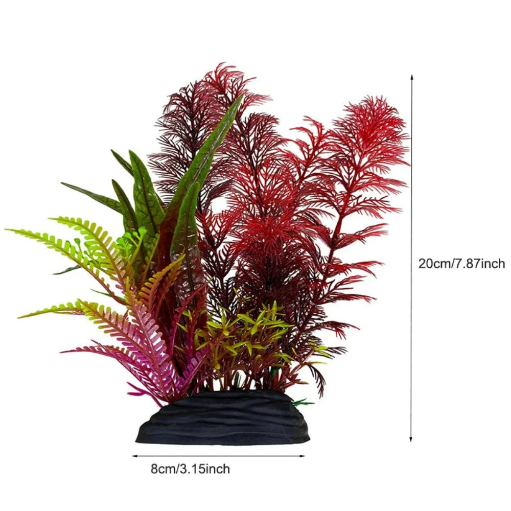 Everyday.Discount buy aquarium's plants pinterest underwater world aquatic lives tiktok youtube videos atlantis lively aquatic algae foreground fishtanks decorations underwater  glowing plants instagram world d'aquarium fishtanks panoramic dispaying optical plants explore onlineshopping instagram friends stunning funny fishtank vs aquatic alive world 