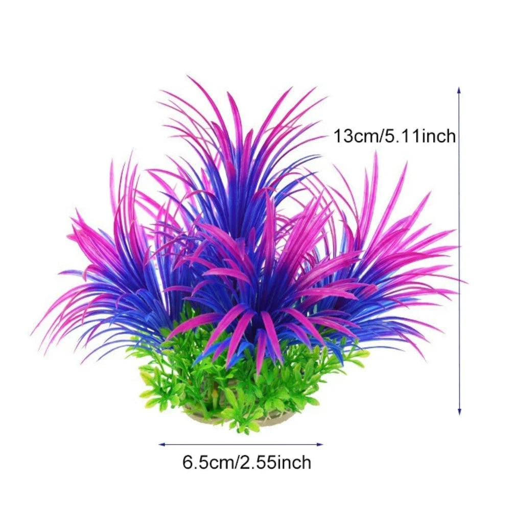 Everyday.Discount buy aquarium's plants pinterest underwater world aquatic lives tiktok youtube videos atlantis lively aquatic algae foreground fishtanks decorations underwater  glowing plants instagram world d'aquarium fishtanks panoramic dispaying optical plants explore onlineshopping instagram friends stunning funny fishtank vs aquatic alive world 