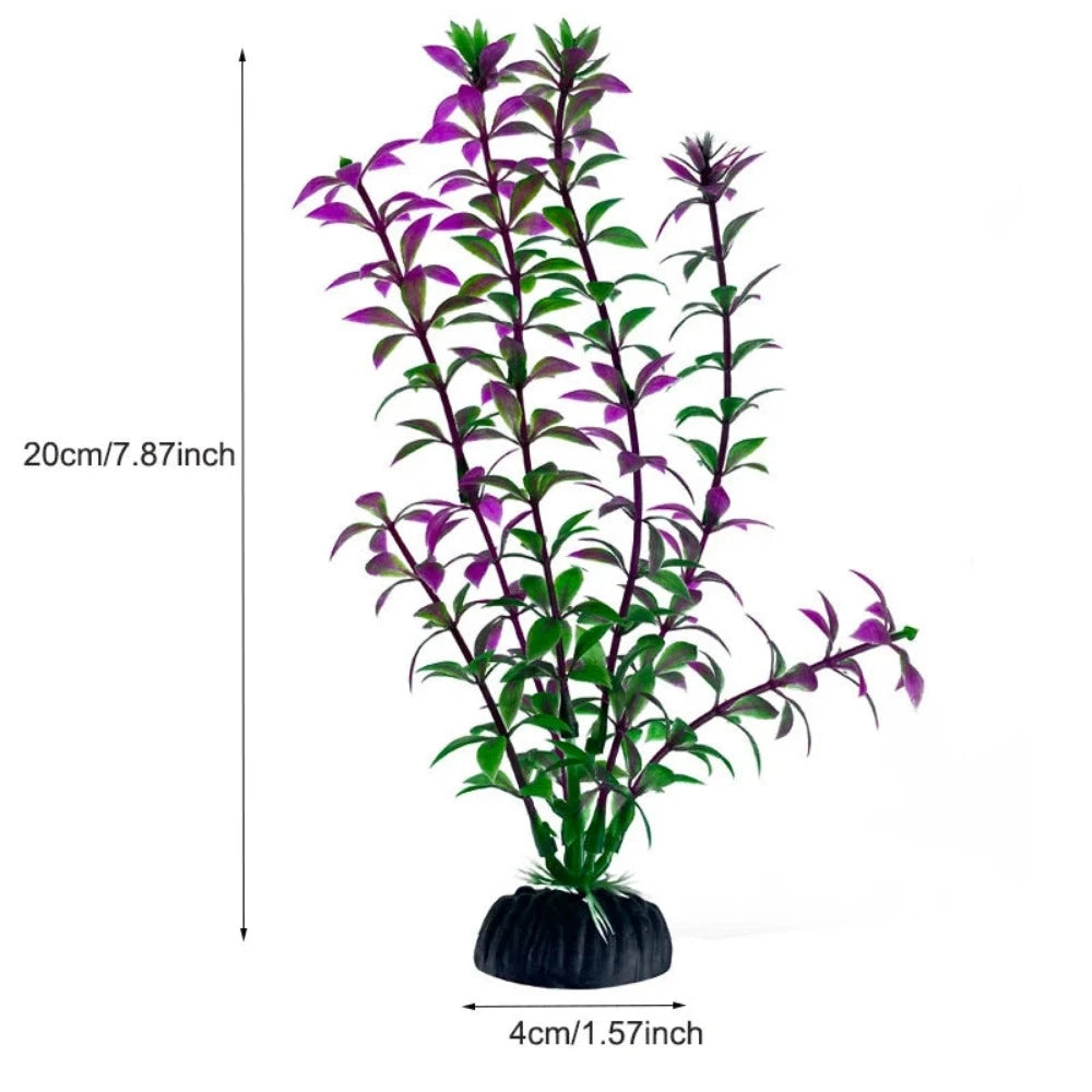 Everyday.Discount buy aquarium's plants pinterest underwater world aquatic lives tiktok youtube videos atlantis lively aquatic algae foreground fishtanks decorations underwater  glowing plants instagram world d'aquarium fishtanks panoramic dispaying optical plants explore onlineshopping instagram friends stunning funny fishtank vs aquatic alive world 