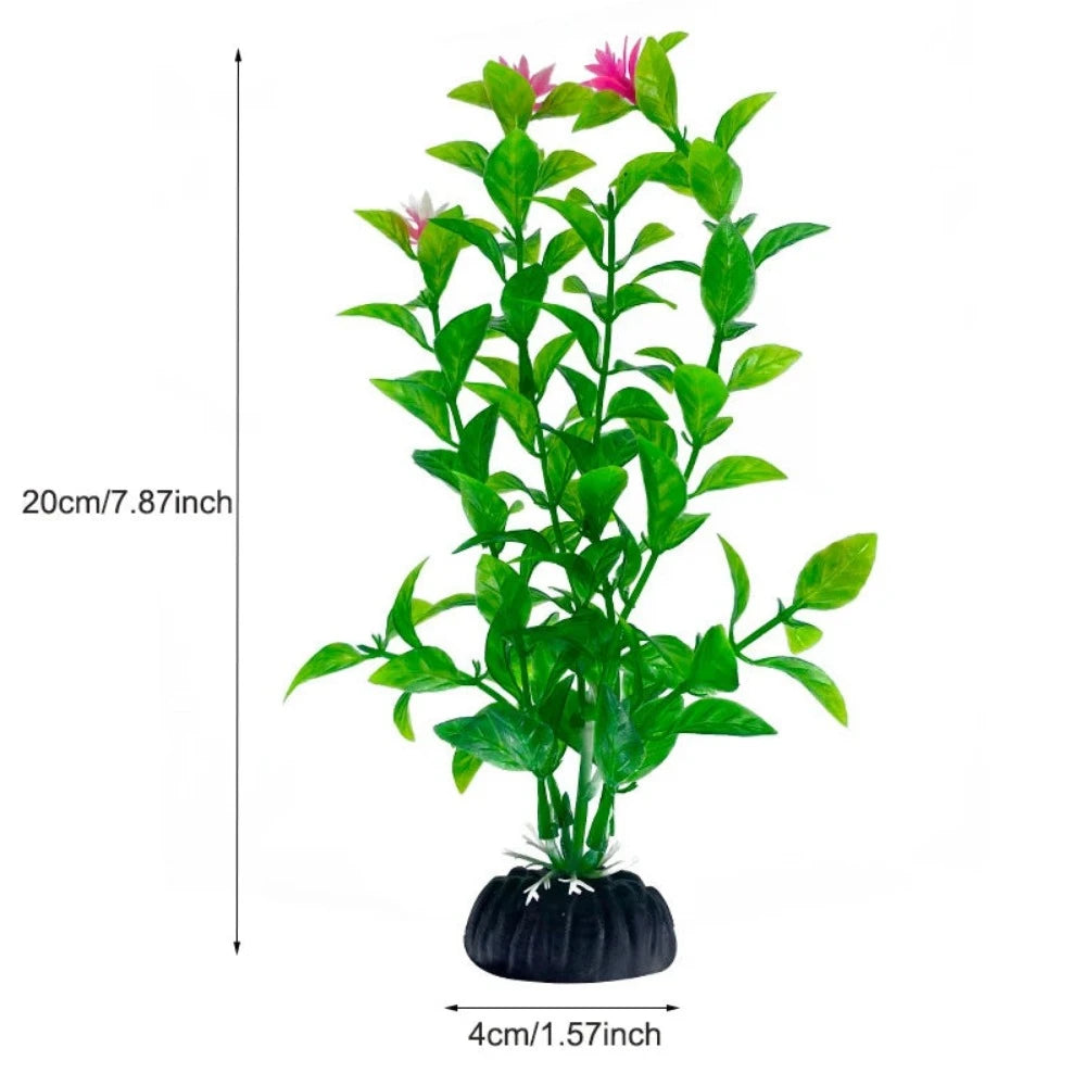 Everyday.Discount buy aquarium's plants pinterest underwater world aquatic lives tiktok youtube videos atlantis lively aquatic algae foreground fishtanks decorations underwater  glowing plants instagram world d'aquarium fishtanks panoramic dispaying optical plants explore onlineshopping instagram friends stunning funny fishtank vs aquatic alive world 
