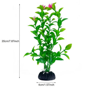 Everyday.Discount buy aquarium's plants pinterest underwater world aquatic lives tiktok youtube videos atlantis lively aquatic algae foreground fishtanks decorations underwater  glowing plants instagram world d'aquarium fishtanks panoramic dispaying optical plants explore onlineshopping instagram friends stunning funny fishtank vs aquatic alive world 