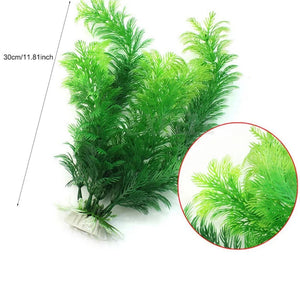Everyday.Discount buy aquarium's plants pinterest underwater world aquatic lives tiktok youtube videos atlantis lively aquatic algae foreground fishtanks decorations underwater  glowing plants instagram world d'aquarium fishtanks panoramic dispaying optical plants explore onlineshopping instagram friends stunning funny fishtank vs aquatic alive world 