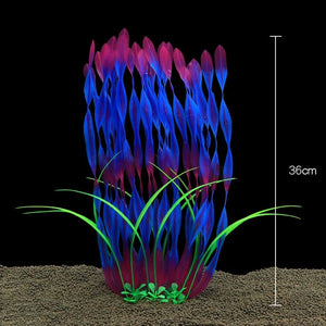 Everyday.Discount buy aquarium's plants pinterest underwater world aquatic lives tiktok youtube videos atlantis lively aquatic algae foreground fishtanks decorations underwater  glowing plants instagram world d'aquarium fishtanks panoramic dispaying optical plants explore onlineshopping instagram friends stunning funny fishtank vs aquatic alive world 