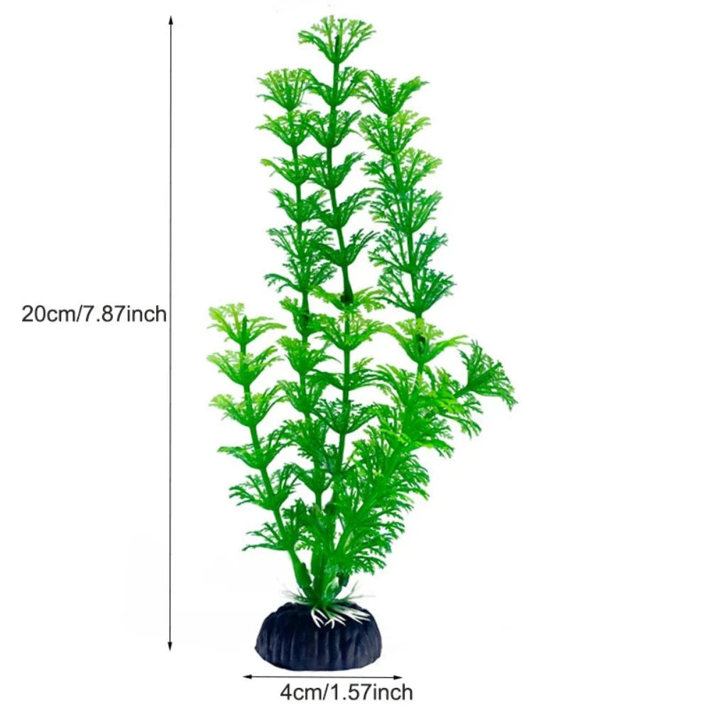 Everyday.Discount buy aquarium's plants pinterest underwater world aquatic lives tiktok youtube videos atlantis lively aquatic algae foreground fishtanks decorations underwater  glowing plants instagram world d'aquarium fishtanks panoramic dispaying optical plants explore onlineshopping instagram friends stunning funny fishtank vs aquatic alive world 