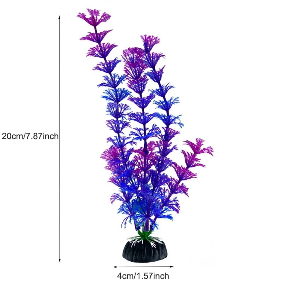 Everyday.Discount buy aquarium's plants pinterest underwater world aquatic lives tiktok youtube videos atlantis lively aquatic algae foreground fishtanks decorations underwater  glowing plants instagram world d'aquarium fishtanks panoramic dispaying optical plants explore onlineshopping instagram friends stunning funny fishtank vs aquatic alive world 
