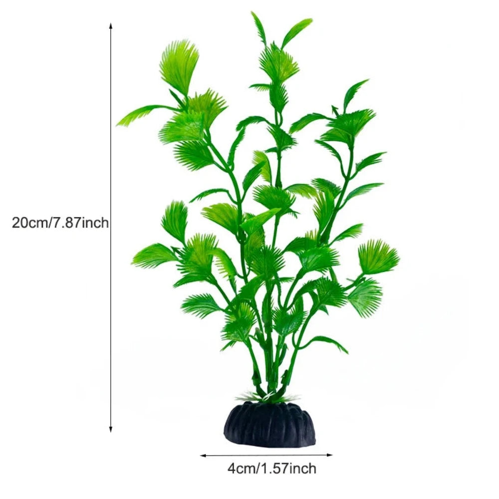 Everyday.Discount buy aquarium's plants pinterest underwater world aquatic lives tiktok youtube videos atlantis lively aquatic algae foreground fishtanks decorations underwater  glowing plants instagram world d'aquarium fishtanks panoramic dispaying optical plants explore onlineshopping instagram friends stunning funny fishtank vs aquatic alive world 