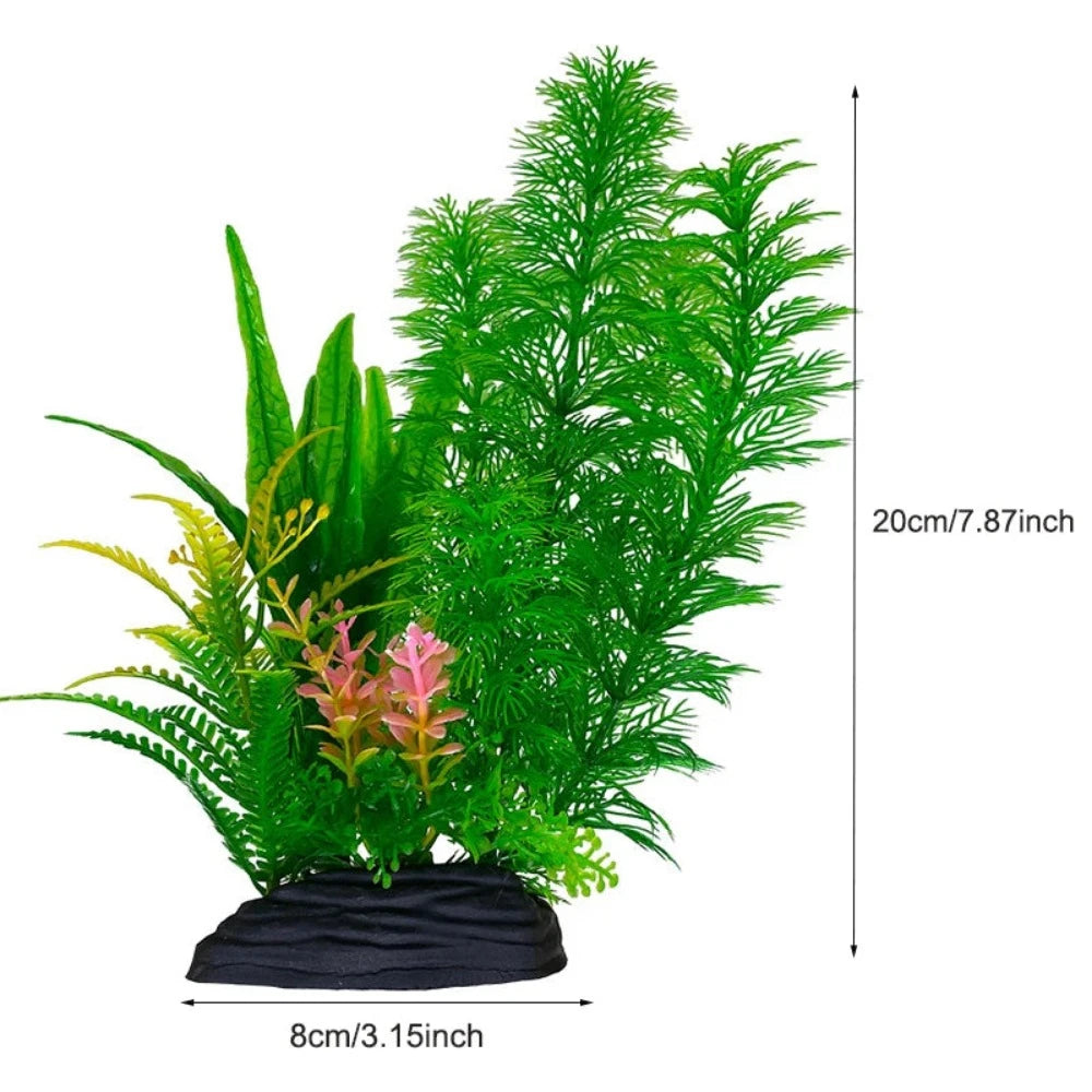Everyday.Discount buy aquarium's plants pinterest underwater world aquatic lives tiktok youtube videos atlantis lively aquatic algae foreground fishtanks decorations underwater  glowing plants instagram world d'aquarium fishtanks panoramic dispaying optical plants explore onlineshopping instagram friends stunning funny fishtank vs aquatic alive world 