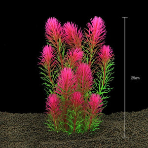 Everyday.Discount buy aquarium's plants pinterest underwater world aquatic lives tiktok youtube videos atlantis lively aquatic algae foreground fishtanks decorations underwater  glowing plants instagram world d'aquarium fishtanks panoramic dispaying optical plants explore onlineshopping instagram friends stunning funny fishtank vs aquatic alive world 