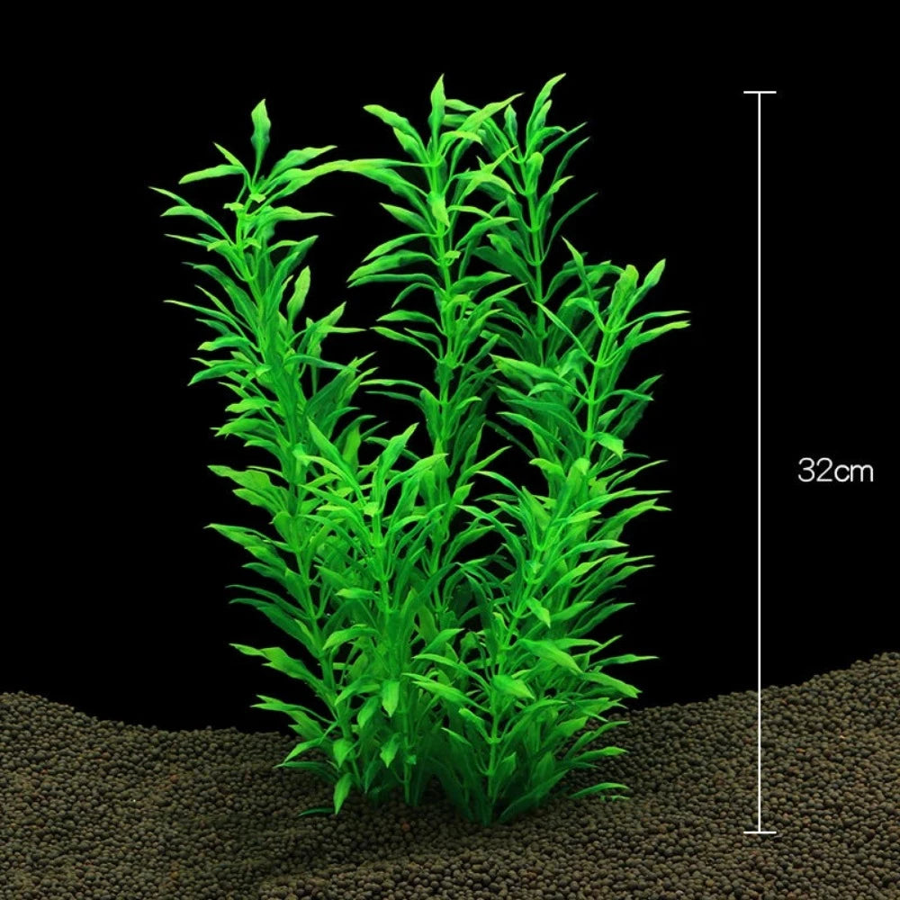 Everyday.Discount buy aquarium's plants pinterest underwater world aquatic lives tiktok youtube videos atlantis lively aquatic algae foreground fishtanks decorations underwater  glowing plants instagram world d'aquarium fishtanks panoramic dispaying optical plants explore onlineshopping instagram friends stunning funny fishtank vs aquatic alive world 