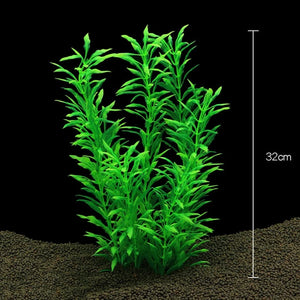 Everyday.Discount buy aquarium's plants pinterest underwater world aquatic lives tiktok youtube videos atlantis lively aquatic algae foreground fishtanks decorations underwater  glowing plants instagram world d'aquarium fishtanks panoramic dispaying optical plants explore onlineshopping instagram friends stunning funny fishtank vs aquatic alive world 