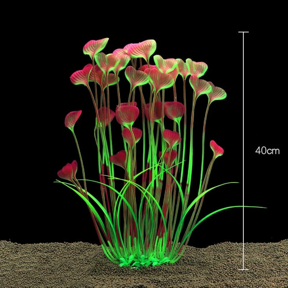 Everyday.Discount buy aquarium's plants pinterest underwater world aquatic lives tiktok youtube videos atlantis lively aquatic algae foreground fishtanks decorations underwater  glowing plants instagram world d'aquarium fishtanks panoramic dispaying optical plants explore onlineshopping instagram friends stunning funny fishtank vs aquatic alive world 