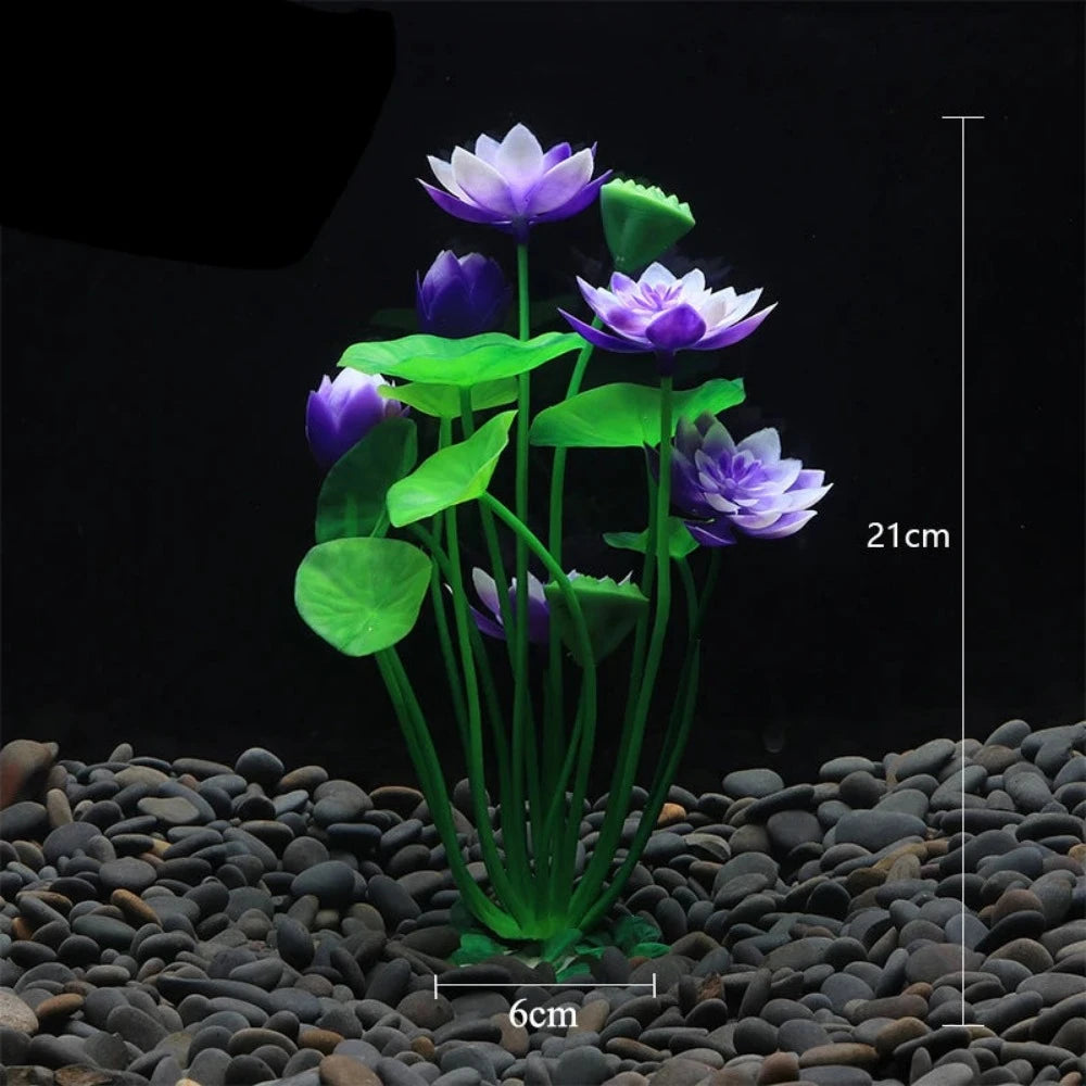 Everyday.Discount buy aquarium's plants pinterest underwater world aquatic lives tiktok youtube videos atlantis lively aquatic algae foreground fishtanks decorations underwater  glowing plants instagram world d'aquarium fishtanks panoramic dispaying optical plants explore onlineshopping instagram friends stunning funny fishtank vs aquatic alive world 