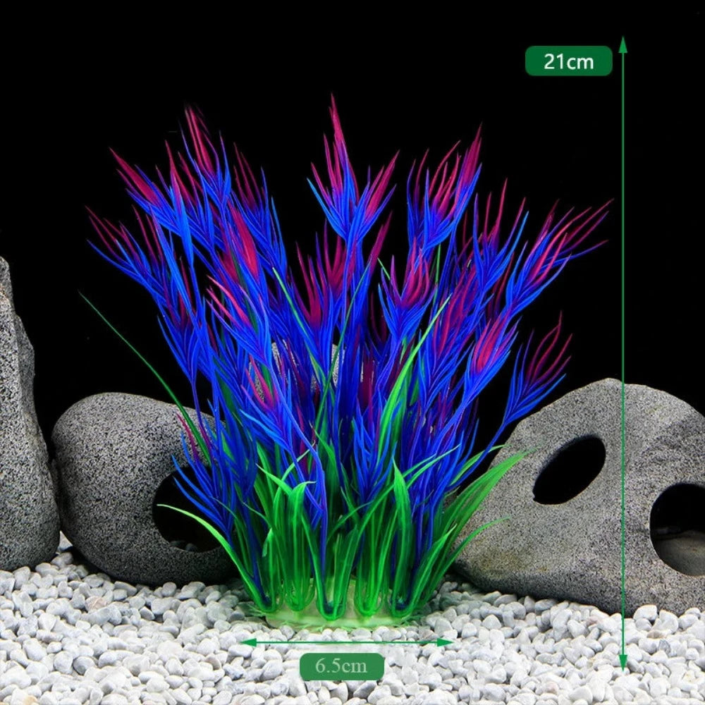 Everyday.Discount buy aquarium's plants pinterest underwater world aquatic lives tiktok youtube videos atlantis lively aquatic algae foreground fishtanks decorations underwater  glowing plants instagram world d'aquarium fishtanks panoramic dispaying optical plants explore onlineshopping instagram friends stunning funny fishtank vs aquatic alive world 