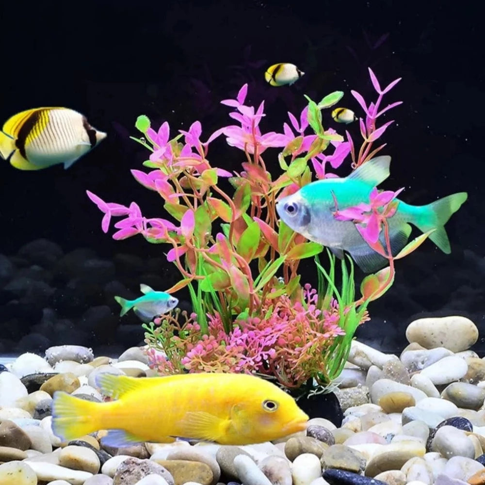 Everyday.Discount buy aquarium's eco lush plants pinterest artificial instantly gracefully architectural wonders underwater athmosphere plants lush tiktok youtube dreamy world atlantis aquatic videos algue foreground fishtank aquatic decoration instagram greenery d'aquarium sanctuary aquatic viewing decoration everyday fast free.shipping shoponline