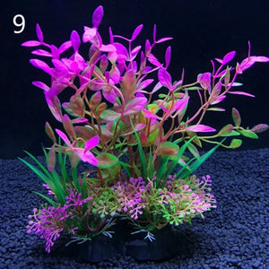 Everyday.Discount buy aquarium's eco lush plants pinterest artificial instantly gracefully architectural wonders underwater athmosphere plants lush tiktok youtube dreamy world atlantis aquatic videos algue foreground fishtank aquatic decoration instagram greenery d'aquarium sanctuary aquatic viewing decoration everyday fast free.shipping shoponline