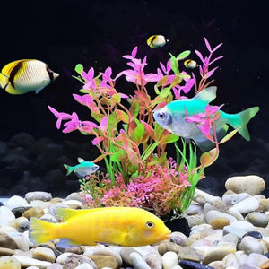 Everyday.Discount buy aquarium's eco lush plants pinterest artificial instantly gracefully architectural wonders underwater athmosphere plants lush tiktok youtube dreamy world atlantis aquatic videos algue foreground fishtank aquatic decoration instagram greenery d'aquarium sanctuary aquatic viewing decoration everyday fast free.shipping shoponline