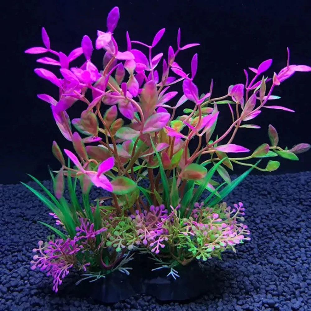 Everyday.Discount buy aquarium's eco lush plants pinterest artificial instantly gracefully architectural wonders underwater athmosphere plants lush tiktok youtube dreamy world atlantis aquatic videos algue foreground fishtank aquatic decoration instagram greenery d'aquarium sanctuary aquatic viewing decoration everyday fast free.shipping shoponline