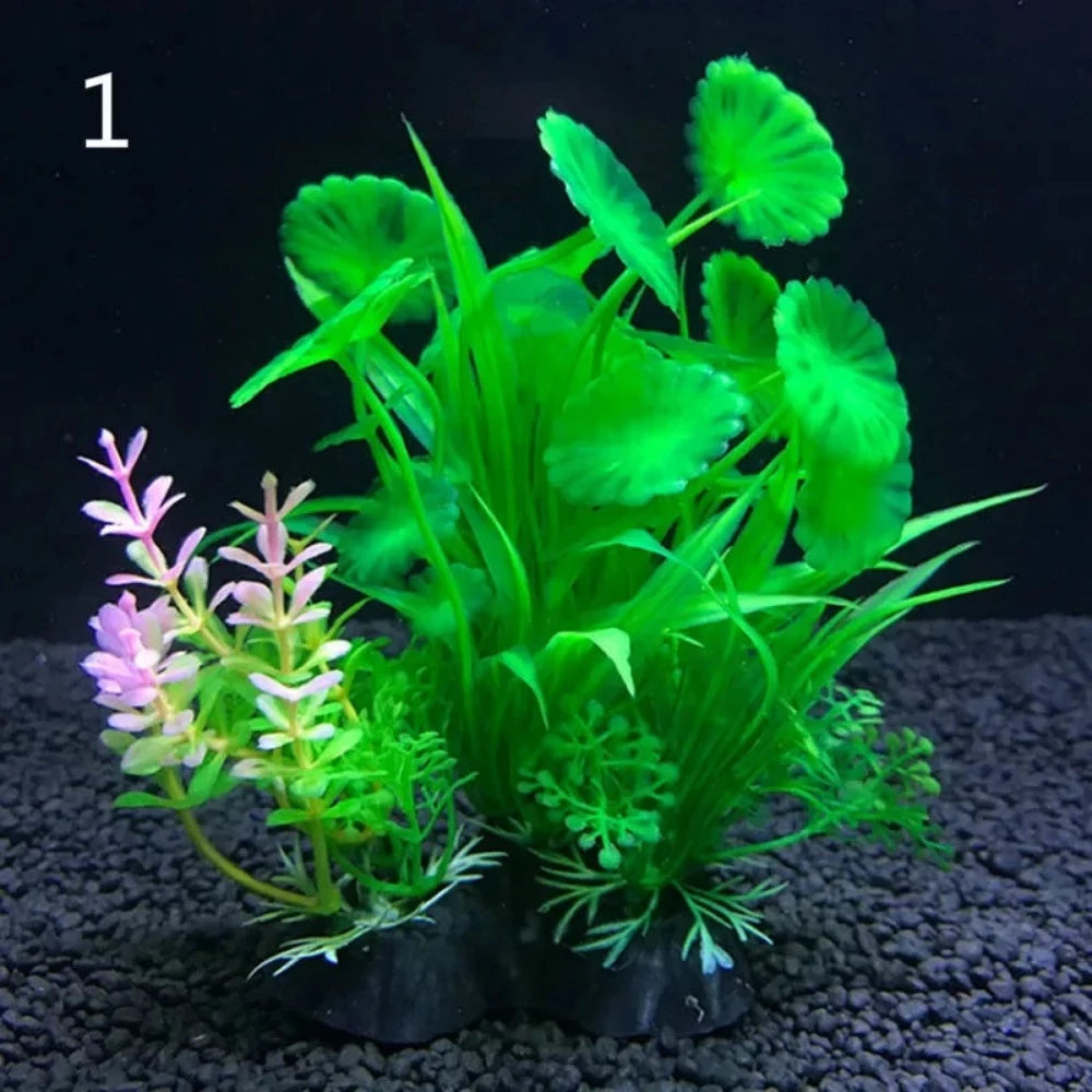 Everyday.Discount buy aquarium's eco lush plants pinterest artificial instantly gracefully architectural wonders underwater athmosphere plants lush tiktok youtube dreamy world atlantis aquatic videos algue foreground fishtank aquatic decoration instagram greenery d'aquarium sanctuary aquatic viewing decoration everyday fast free.shipping shoponline