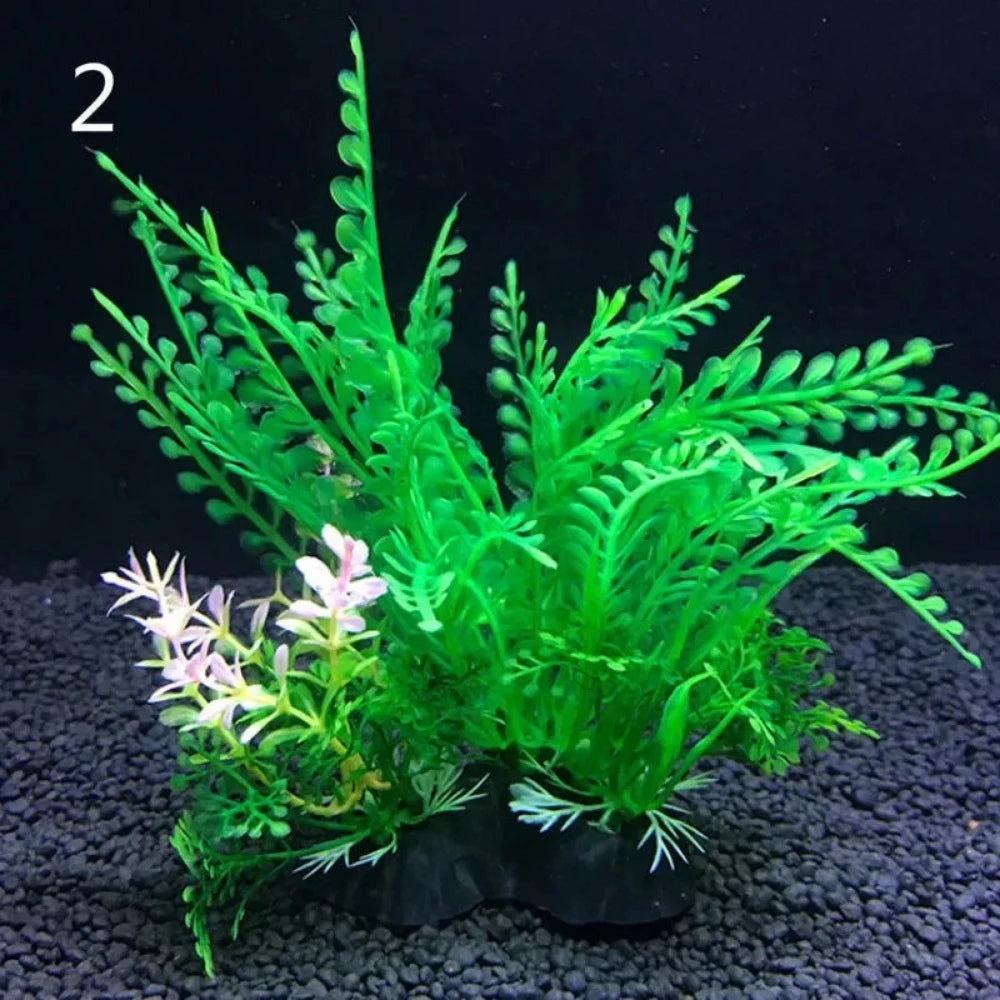 Everyday.Discount buy aquarium's eco lush plants pinterest artificial instantly gracefully architectural wonders underwater athmosphere plants lush tiktok youtube dreamy world atlantis aquatic videos algue foreground fishtank aquatic decoration instagram greenery d'aquarium sanctuary aquatic viewing decoration everyday fast free.shipping shoponline