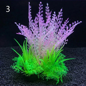 Everyday.Discount buy aquarium's eco lush plants pinterest artificial instantly gracefully architectural wonders underwater athmosphere plants lush tiktok youtube dreamy world atlantis aquatic videos algue foreground fishtank aquatic decoration instagram greenery d'aquarium sanctuary aquatic viewing decoration everyday fast free.shipping shoponline