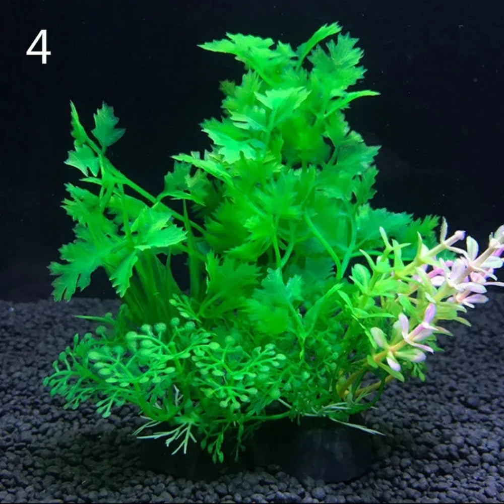 Everyday.Discount buy aquarium's eco lush plants pinterest artificial instantly gracefully architectural wonders underwater athmosphere plants lush tiktok youtube dreamy world atlantis aquatic videos algue foreground fishtank aquatic decoration instagram greenery d'aquarium sanctuary aquatic viewing decoration everyday fast free.shipping shoponline