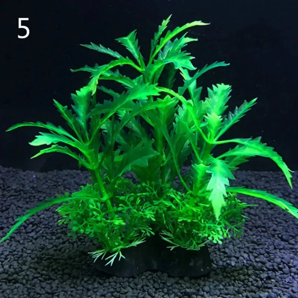 Everyday.Discount buy aquarium's eco lush plants pinterest artificial instantly gracefully architectural wonders underwater athmosphere plants lush tiktok youtube dreamy world atlantis aquatic videos algue foreground fishtank aquatic decoration instagram greenery d'aquarium sanctuary aquatic viewing decoration everyday fast free.shipping shoponline