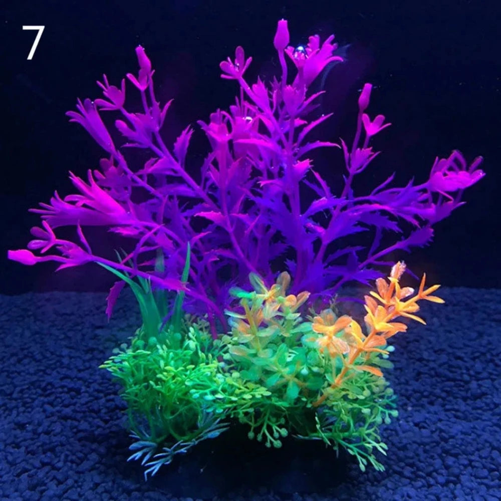 Everyday.Discount buy aquarium's eco lush plants pinterest artificial instantly gracefully architectural wonders underwater athmosphere plants lush tiktok youtube dreamy world atlantis aquatic videos algue foreground fishtank aquatic decoration instagram greenery d'aquarium sanctuary aquatic viewing decoration everyday fast free.shipping shoponline