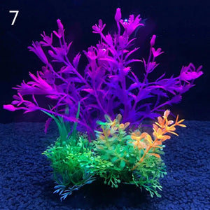 Everyday.Discount buy aquarium's eco lush plants pinterest artificial instantly gracefully architectural wonders underwater athmosphere plants lush tiktok youtube dreamy world atlantis aquatic videos algue foreground fishtank aquatic decoration instagram greenery d'aquarium sanctuary aquatic viewing decoration everyday fast free.shipping shoponline