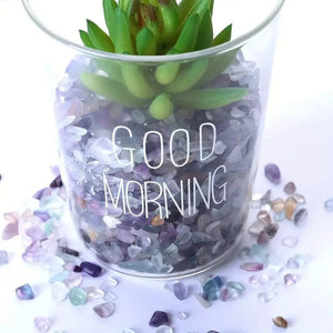 Everyday.Discount buy fishtanks fascination beach ocean stones pinterest glow polished sea themed pebbles colorful natural quartz stones tiktok youtube videos quartz ceramic fishtank aquatic decorations soil potted plants stones earth elements instagram minerals shoponline glowing polished underwater gorgeous pebbles await everyday free.shipping