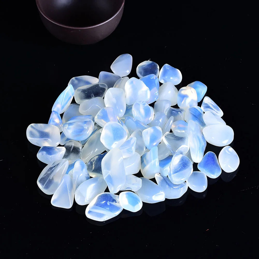 Everyday.Discount buy fishtanks fascination beach ocean stones pinterest glow polished sea themed pebbles colorful natural quartz stones tiktok youtube videos quartz ceramic fishtank aquatic decorations soil potted plants stones earth elements instagram minerals shoponline glowing polished underwater gorgeous pebbles await everyday free.shipping