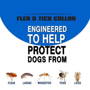 Everyday.Discount buy dogs cat flea tick collar pinterest animals effective effectiveness fleas tick collars tiktok cats youtube videos everyday.discount mosquito collars repellent  instagram puppies influencer cats flea tick collar sustained dose eradicatings ingredient protect against itch mosquitos collar dogs animal healthcare products