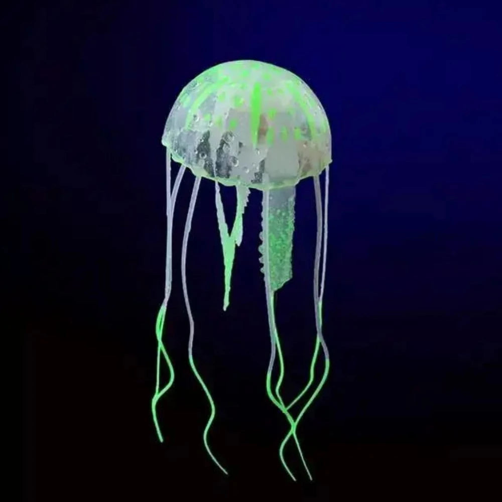 Everyday.Discount buy jelly fishes glowing artificial science fishtank moon night replicas glowing alive jellyfish pinterest glowing fishtank sea creatures jellyfish glow into the dark decoration freshwater jellyfish tiktok youtube videos foreground instagram lifelike colors illuminated jellyfish magical aquatic delightful replicas shoponline everyday free.shipping 