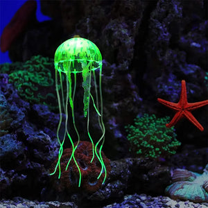 Everyday.Discount buy jelly fishes glowing artificial science fishtank moon night replicas glowing alive jellyfish pinterest glowing fishtank sea creatures jellyfish glow into the dark decoration freshwater jellyfish tiktok youtube videos foreground instagram lifelike colors illuminated jellyfish magical aquatic delightful replicas shoponline everyday free.shipping 