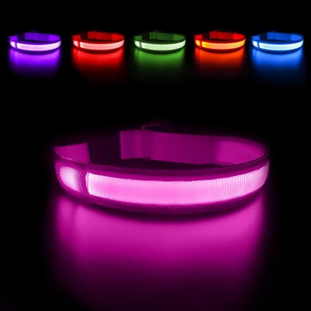 Everyday.Discount buy happiest customers favorites reflective walking safety gear tiktok     videos funny season outdoors night lights dogs solid wear collar funny puppie dark night  collar lightings instagood onlineshopping instagram dogs influencers safety collars dogs animal glow into dark petsafe fast shipping quality news shoponline viral explore petmart