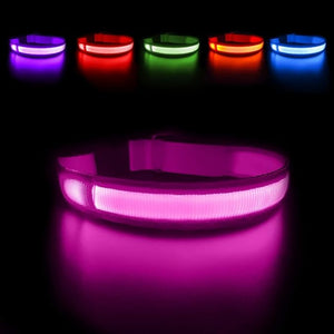 Everyday.Discount buy happiest customers favorites reflective walking safety gear tiktok     videos funny season outdoors night lights dogs solid wear collar funny puppie dark night  collar lightings instagood onlineshopping instagram dogs influencers safety collars dogs animal glow into dark petsafe fast shipping quality news shoponline viral explore petmart