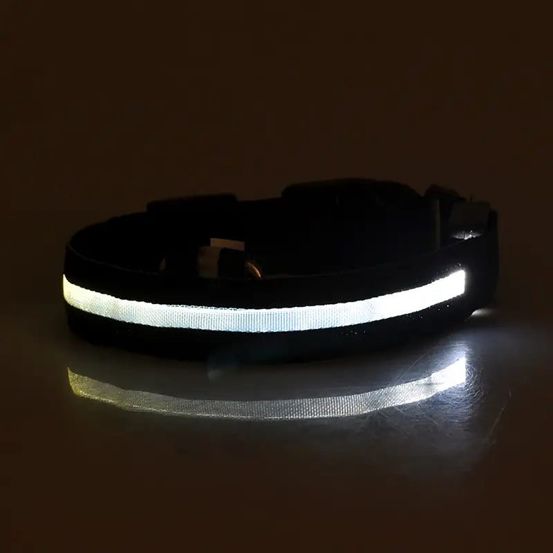 Everyday.Discount buy happiest customers favorites reflective walking safety gear tiktok     videos funny season outdoors night lights dogs solid wear collar funny puppie dark night  collar lightings instagood onlineshopping instagram dogs influencers safety collars dogs animal glow into dark petsafe fast shipping quality news shoponline viral explore petmart