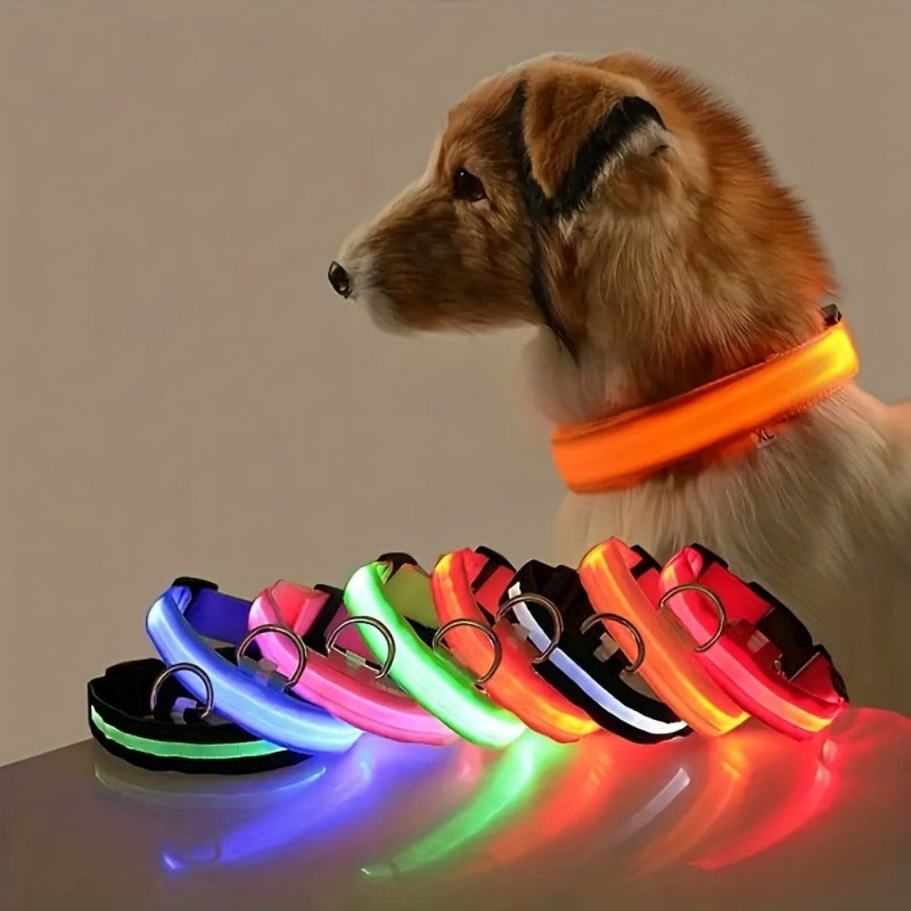 Everyday.Discount buy happiest customers favorites reflective walking safety gear tiktok     videos funny season outdoors night lights dogs solid wear collar funny puppie dark night  collar lightings instagood onlineshopping instagram dogs influencers safety collars dogs animal glow into dark petsafe fast shipping quality news shoponline viral explore petmart