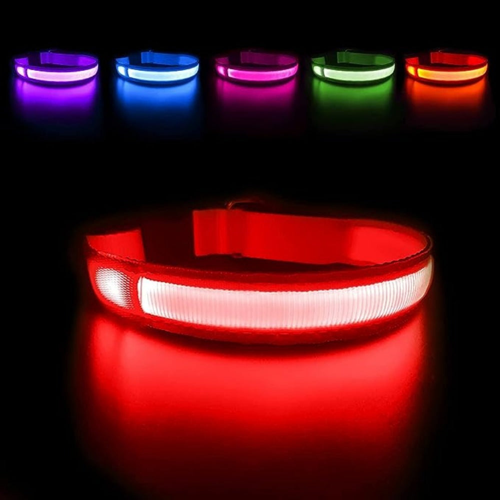 Everyday.Discount buy happiest customers favorites reflective walking safety gear tiktok     videos funny season outdoors night lights dogs solid wear collar funny puppie dark night  collar lightings instagood onlineshopping instagram dogs influencers safety collars dogs animal glow into dark petsafe fast shipping quality news shoponline viral explore petmart