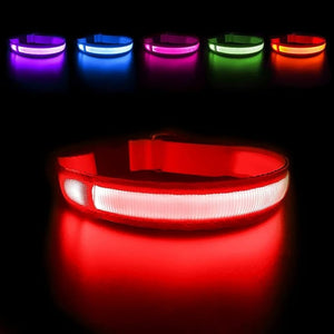 Everyday.Discount buy happiest customers favorites reflective walking safety gear tiktok     videos funny season outdoors night lights dogs solid wear collar funny puppie dark night  collar lightings instagood onlineshopping instagram dogs influencers safety collars dogs animal glow into dark petsafe fast shipping quality news shoponline viral explore petmart