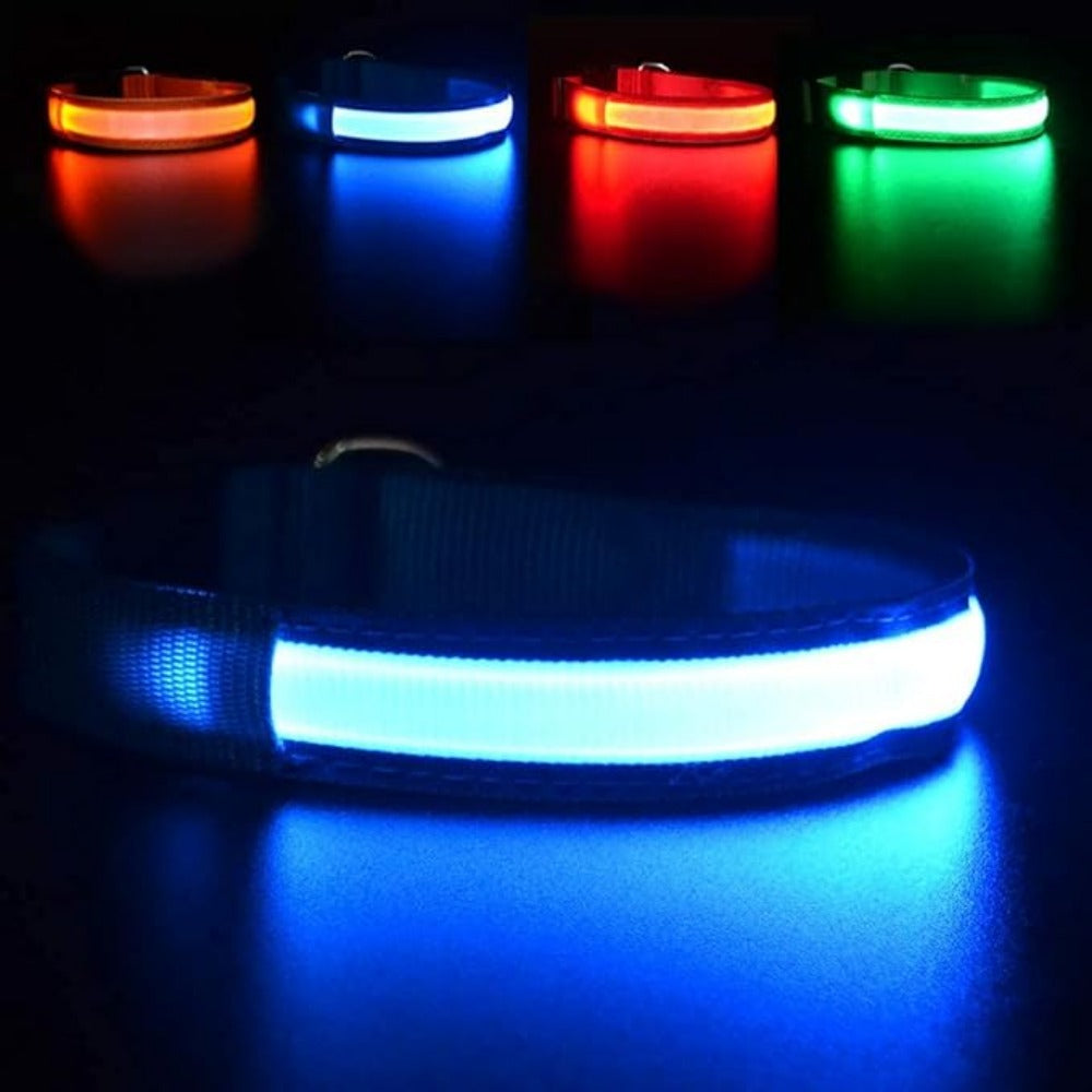 Everyday.Discount buy happiest customers favorites reflective walking safety gear tiktok     videos funny season outdoors night lights dogs solid wear collar funny puppie dark night  collar lightings instagood onlineshopping instagram dogs influencers safety collars dogs animal glow into dark petsafe fast shipping quality news shoponline viral explore petmart
