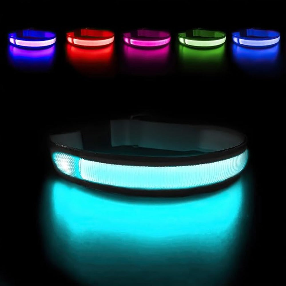 Everyday.Discount buy happiest customers favorites reflective walking safety gear tiktok     videos funny season outdoors night lights dogs solid wear collar funny puppie dark night  collar lightings instagood onlineshopping instagram dogs influencers safety collars dogs animal glow into dark petsafe fast shipping quality news shoponline viral explore petmart