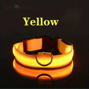 Everyday.Discount buy happiest customers favorites reflective walking safety gear tiktok     videos funny season outdoors night lights dogs solid wear collar funny puppie dark night  collar lightings instagood onlineshopping instagram dogs influencers safety collars dogs animal glow into dark petsafe fast shipping quality news shoponline viral explore petmart