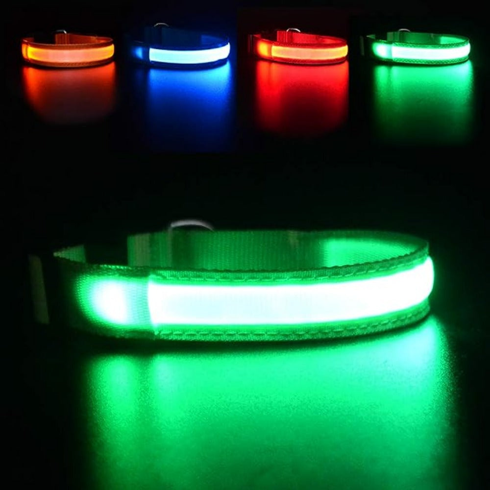 Everyday.Discount buy happiest customers favorites reflective walking safety gear tiktok     videos funny season outdoors night lights dogs solid wear collar funny puppie dark night  collar lightings instagood onlineshopping instagram dogs influencers safety collars dogs animal glow into dark petsafe fast shipping quality news shoponline viral explore petmart