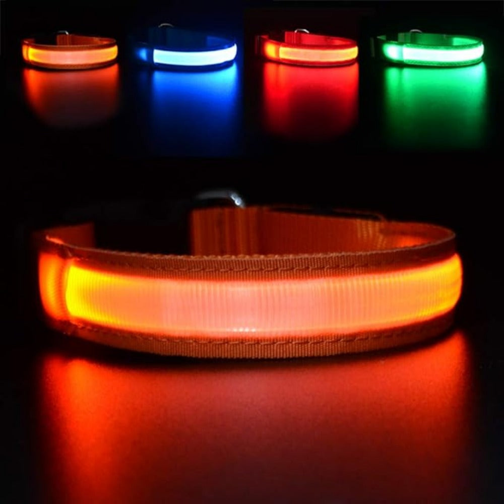 Everyday.Discount buy happiest customers favorites reflective walking safety gear tiktok     videos funny season outdoors night lights dogs solid wear collar funny puppie dark night  collar lightings instagood onlineshopping instagram dogs influencers safety collars dogs animal glow into dark petsafe fast shipping quality news shoponline viral explore petmart
