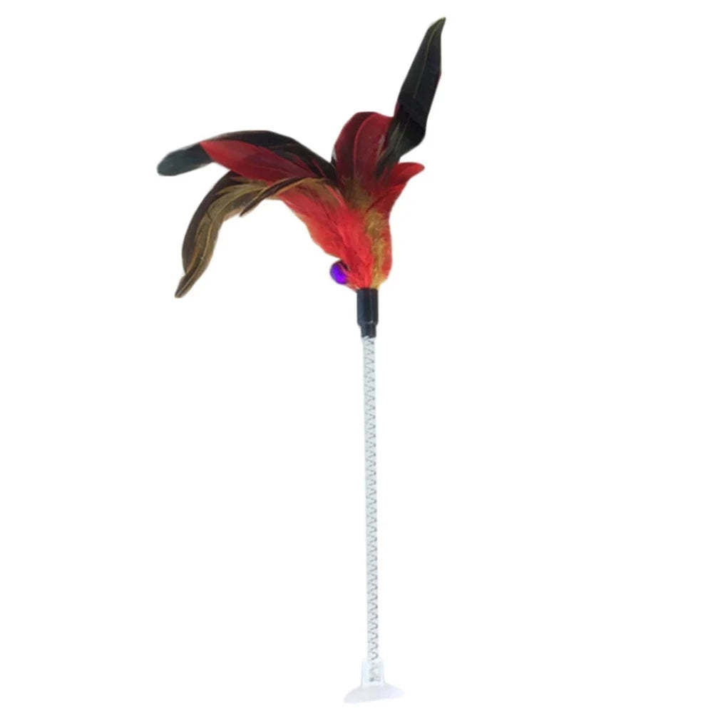 Everyday.Discount buy cat teaser feather diy playing pinterest cat dogs ball feather mice  stimulating toys tiktok youtube videos kittens puppies interactive toys goldfish instagram influencer manufacturer cat teasers moving stuffed dolls mice fish plush catnip carp fish simulation animal interactive crinkle supplies petshop shoponline everyday free.shipping 